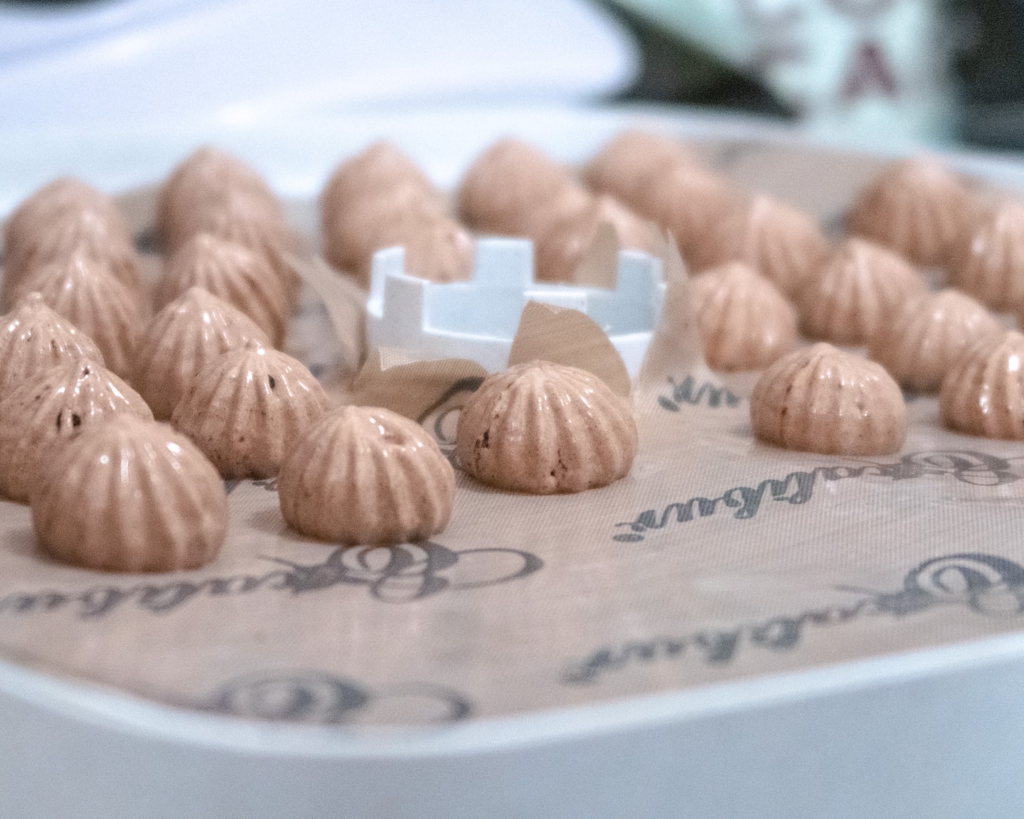 chocolate meringues in the dehydrator