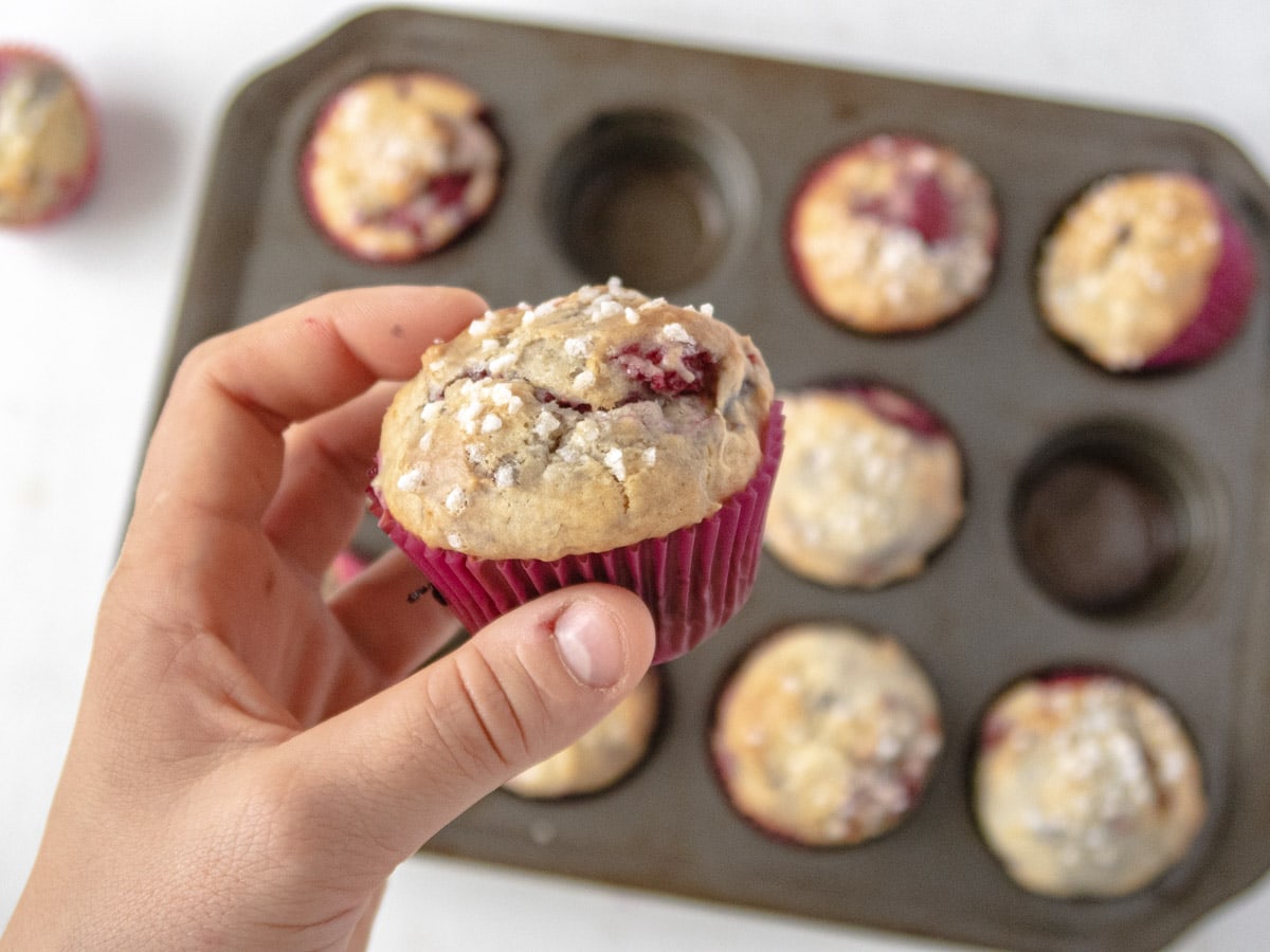 one muffin held in a hand with blurry vegan muffins in the background