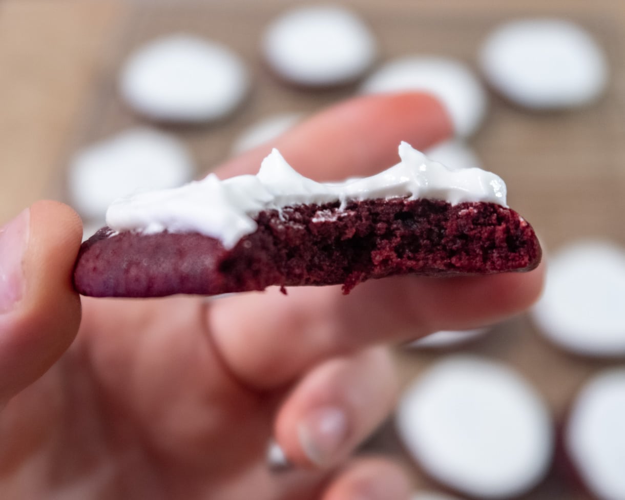 A half-eaten red velvet cookies held up to show the soft texture of the inside of the cookie. 