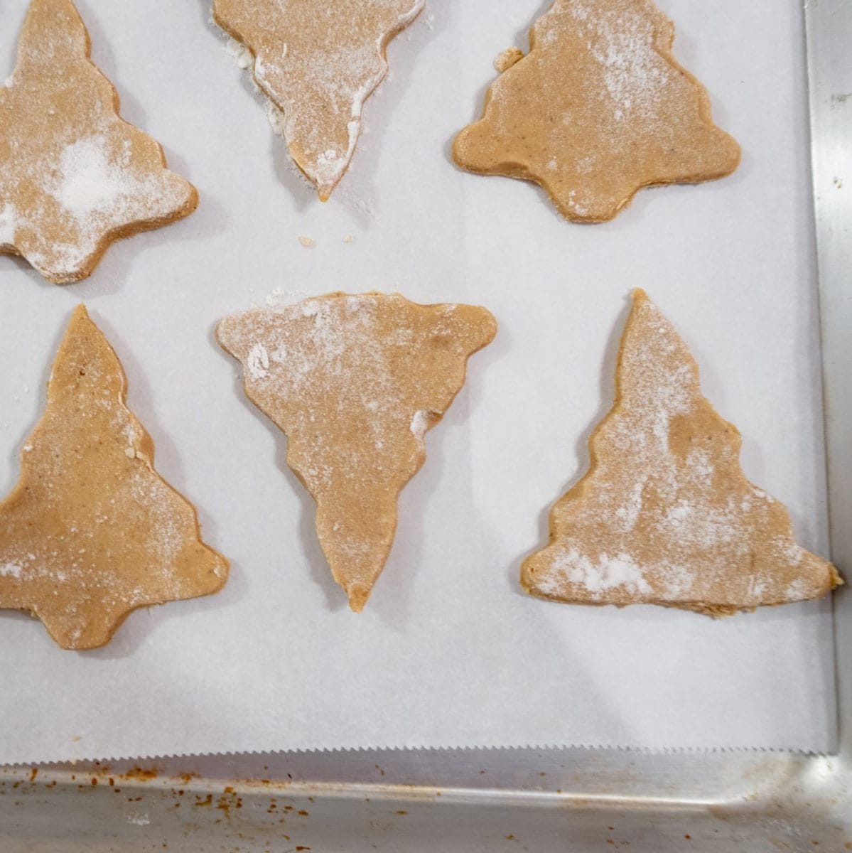 christmas tree rolled cookies on a baking tray uncooked