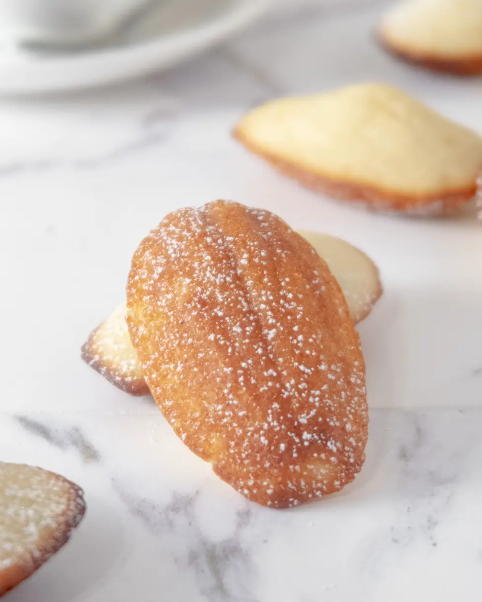 2 madeleines leaning on each other with a light dusting of powdered sugar.