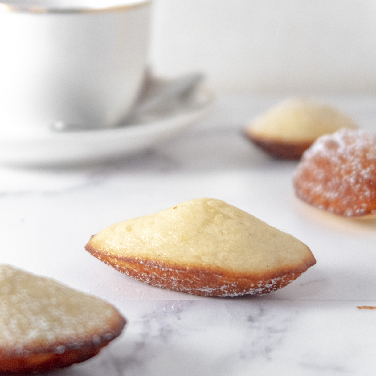 Close up of  a madeleine to show its hump.