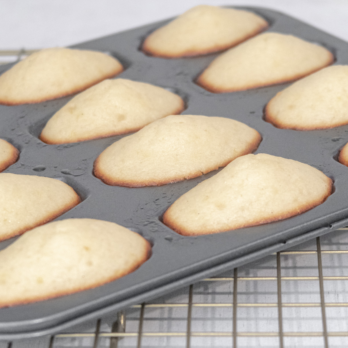 Cooked vegan madeleines still in the metallic madeleine baking tray.