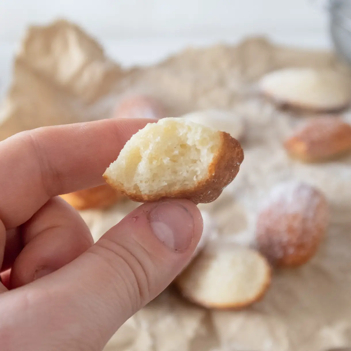 Close up of a half-eaten madeleine to show the crumb texture.