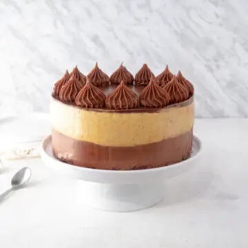 Vegan mousse cake made of layers of chocolate hazelnut mousse on the bottom and pumpkin mousse on the top.